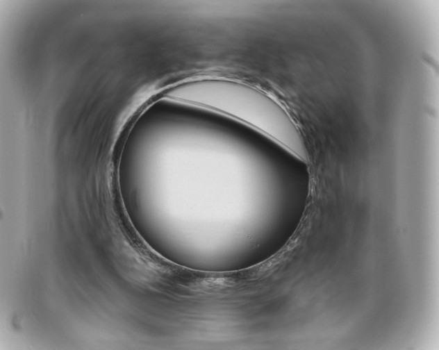 X0000096400152200801241011