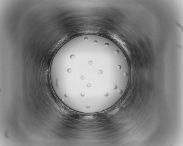 X0000096400153200801241011