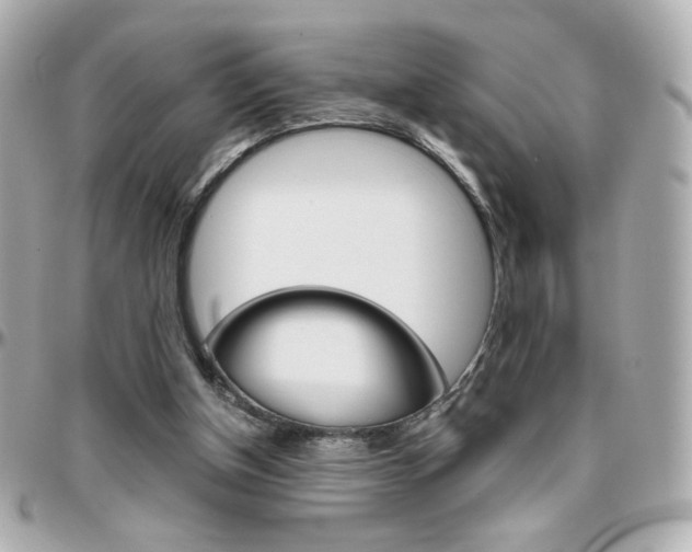 X0000096400154200801241011