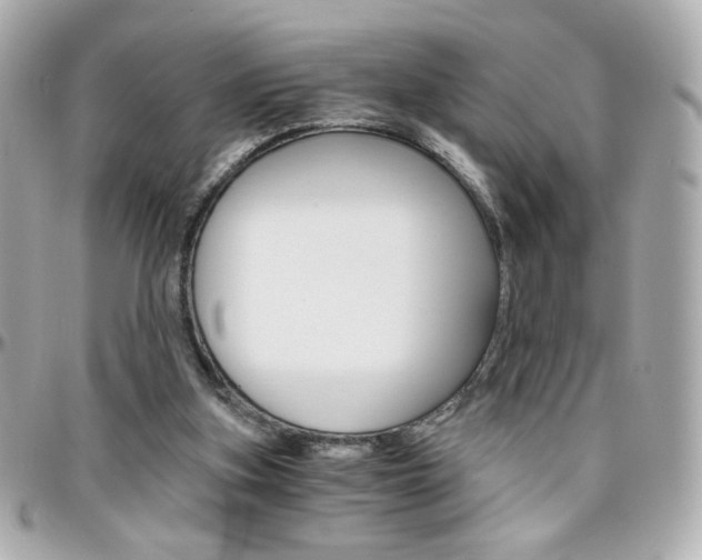 X0000096400155200801241011