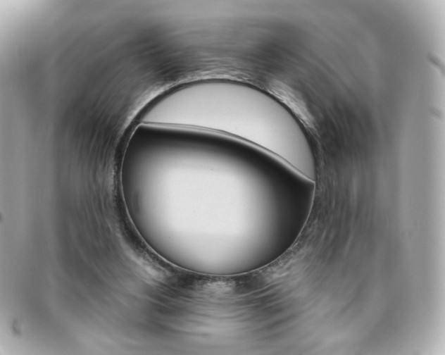 X0000096400156200801241011