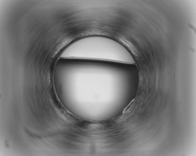 X0000096400158200801241011