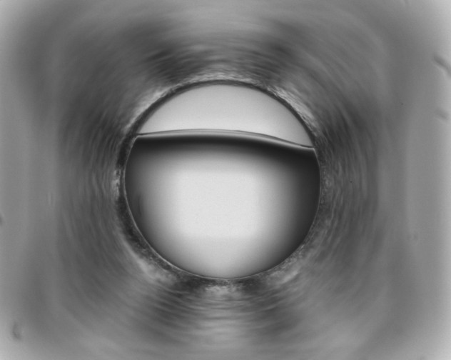 X0000096400160200801241011