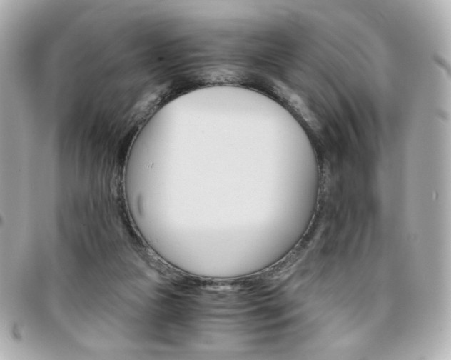 X0000096400161200801241011