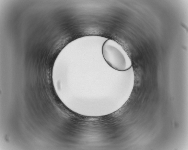 X0000096400162200801241011