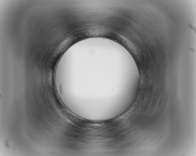 X0000096400163200801241011