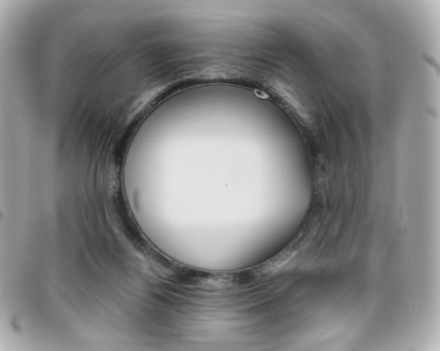 X0000096400164200801241011