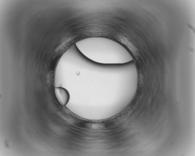 X0000096400165200801241011