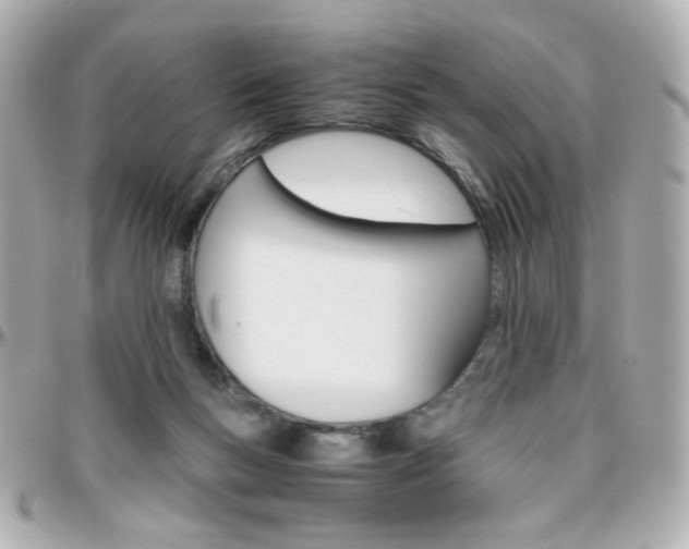 X0000096400167200801241011