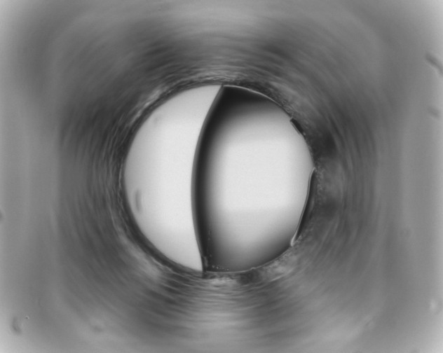 X0000096400168200801241011