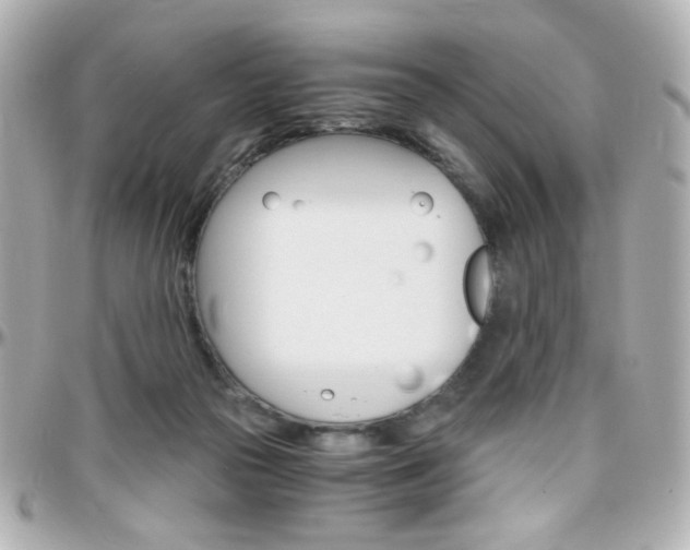 X0000096400169200801241011