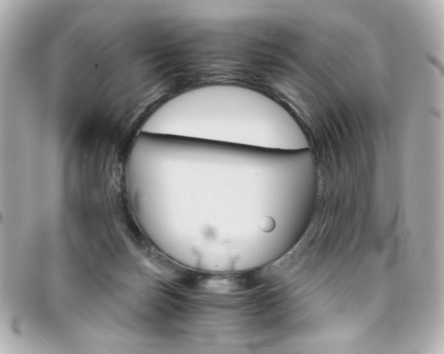 X0000096400171200801241011