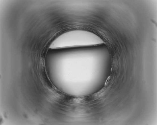 X0000096400172200801241011