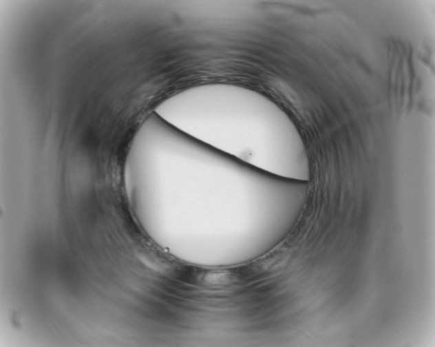 X0000096400173200801241011