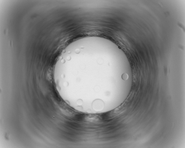 X0000096400175200801241011