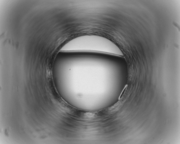 X0000096400176200801241011