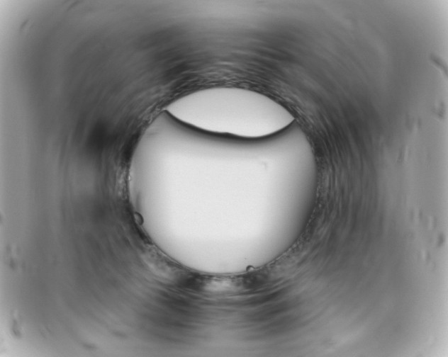 X0000096400177200801241011