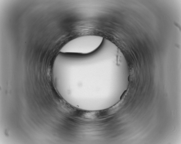 X0000096400178200801241011