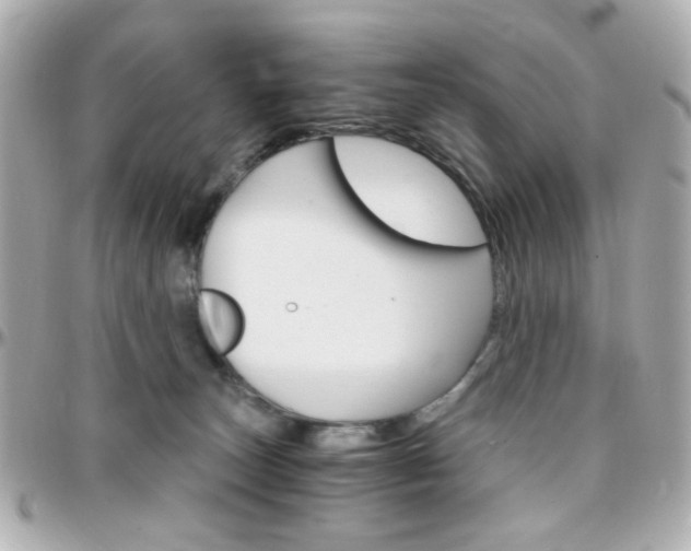 X0000096400179200801241011