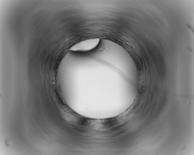 X0000096400182200801241011