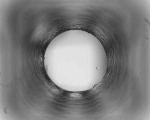 X0000096400183200801241011