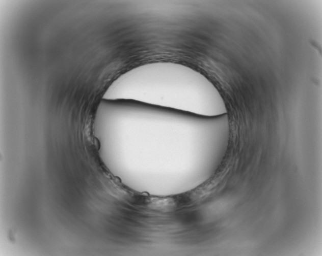 X0000096400185200801241011