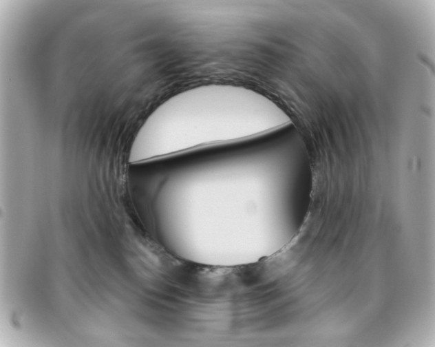 X0000096400186200801241011