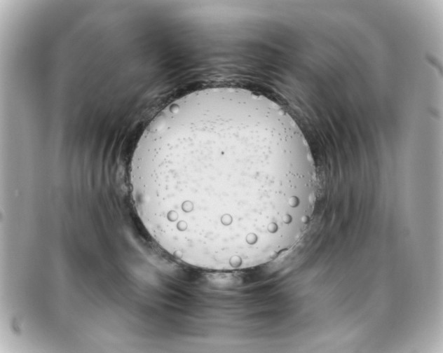 X0000096400187200801241012