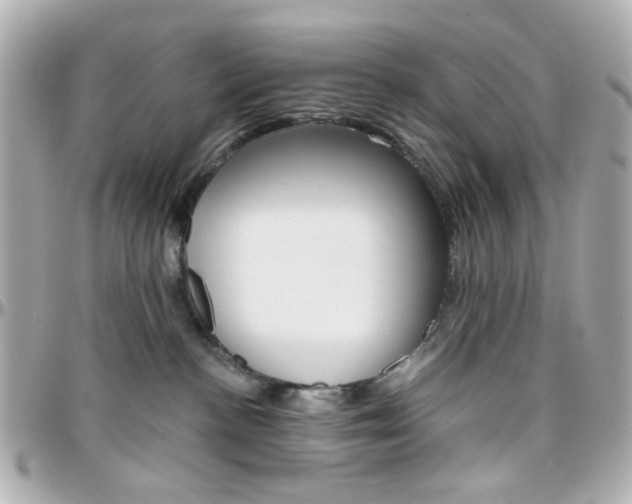 X0000096400188200801241012