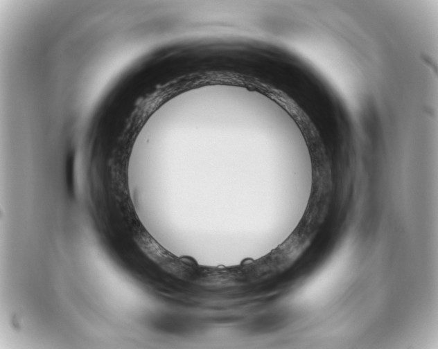 X0000096400189200801241012