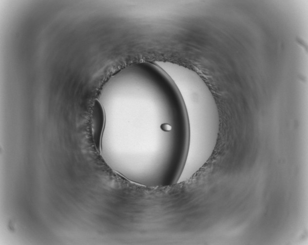 X0000096400192200801241012