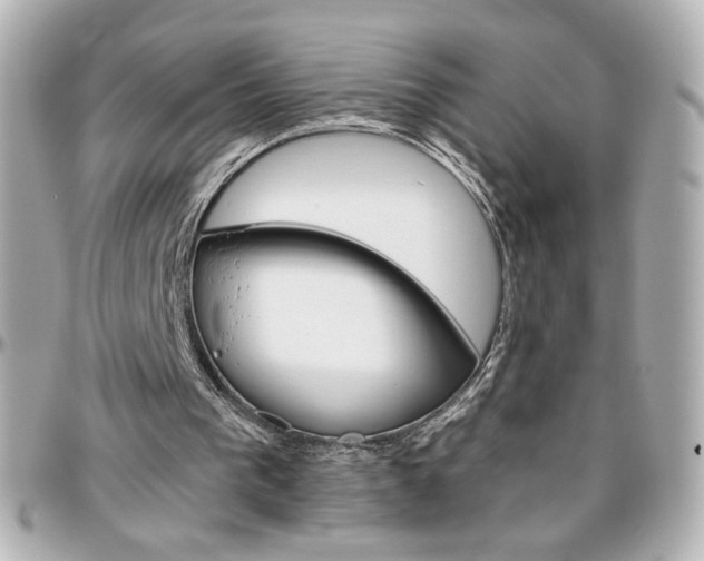 X0000096400193200801241011