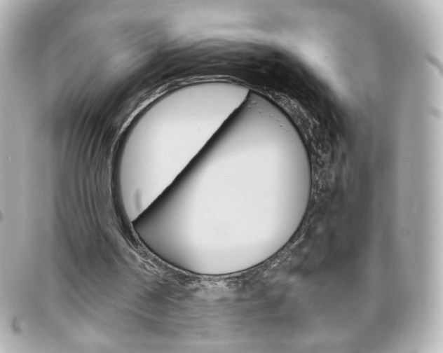 X0000096400194200801241011