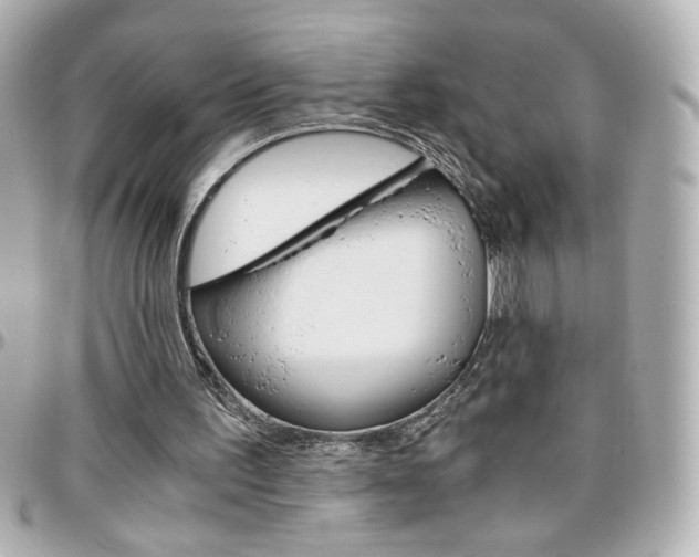 X0000096400195200801241011