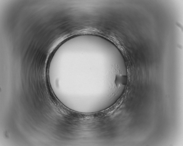 X0000096400196200801241011