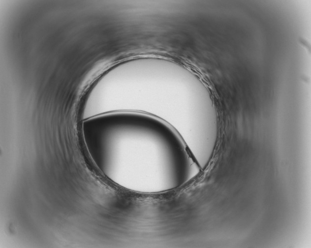 X0000096400197200801241011