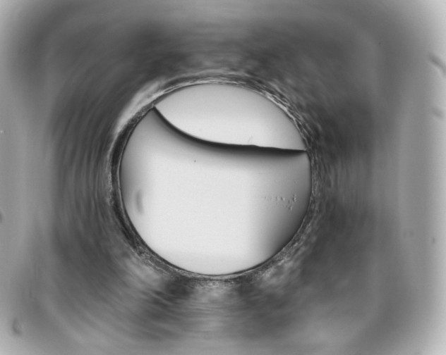 X0000096400198200801241011