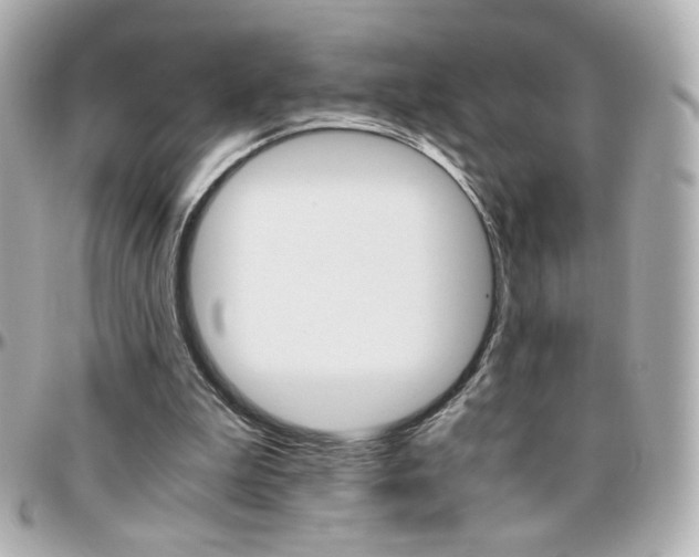 X0000096400199200801241011