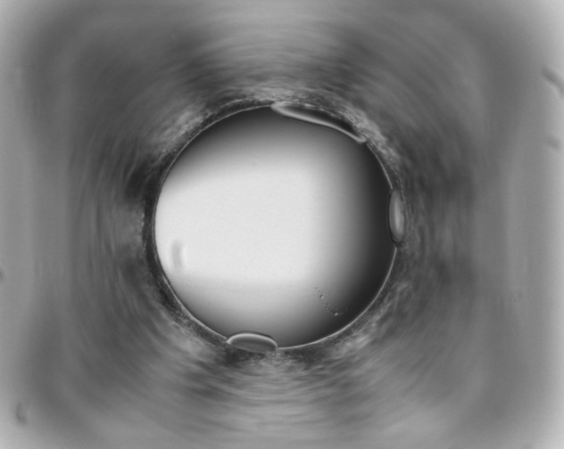 X0000096400201200801241011