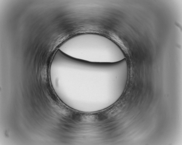 X0000096400202200801241011