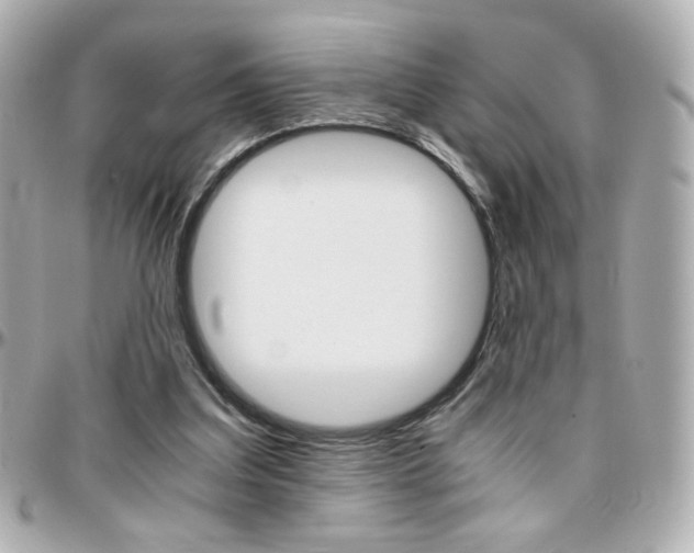 X0000096400203200801241011