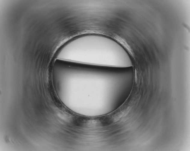 X0000096400204200801241011