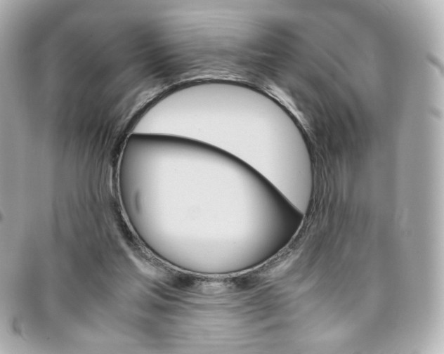 X0000096400205200801241011