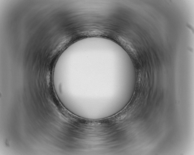 X0000096400206200801241011