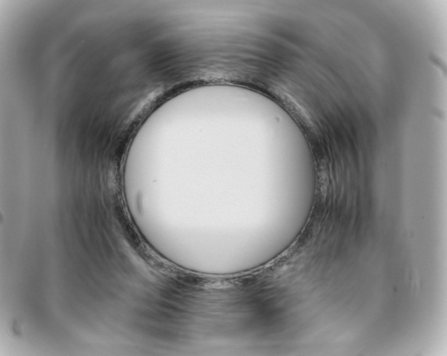 X0000096400208200801241011