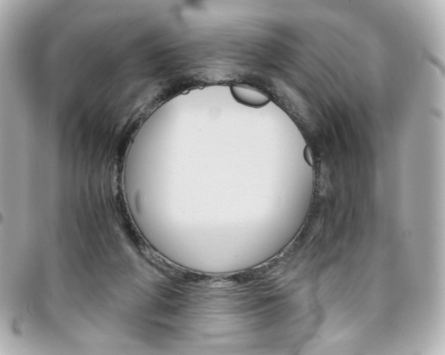 X0000096400210200801241011