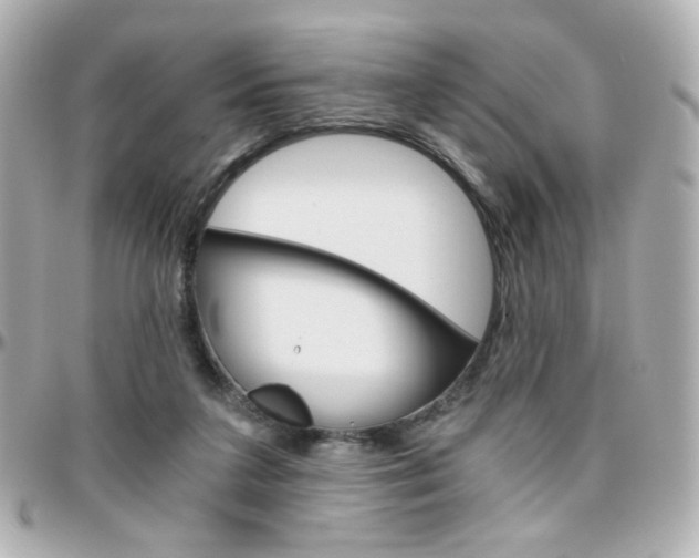 X0000096400211200801241011