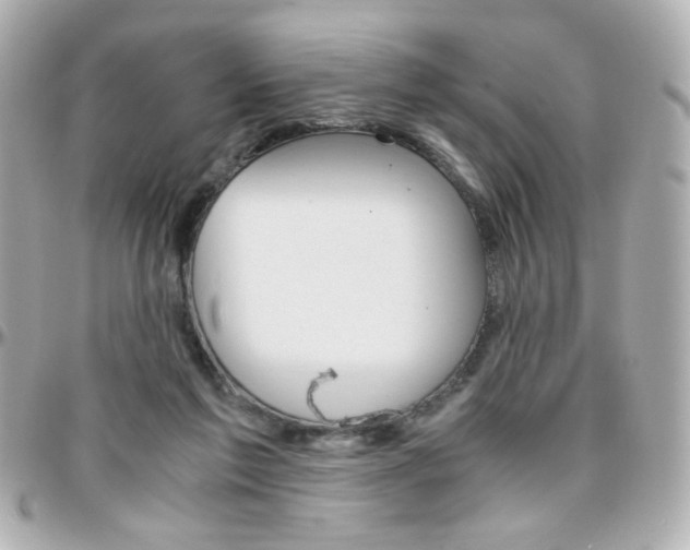 X0000096400213200801241011