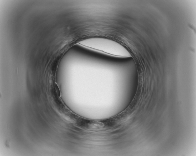 X0000096400215200801241011