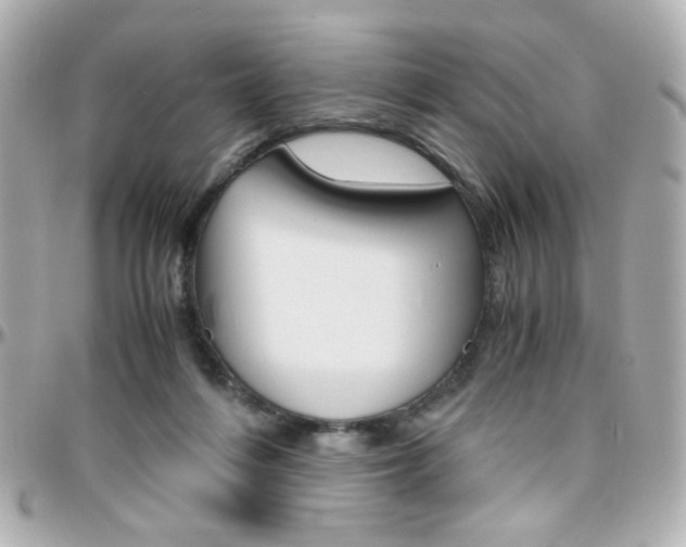 X0000096400216200801241011